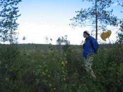 Hienot on maisemat!