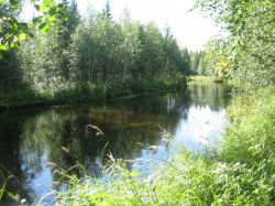 Pyhäjoki