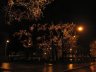 Christmas lights
