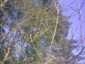 Signs of spring
